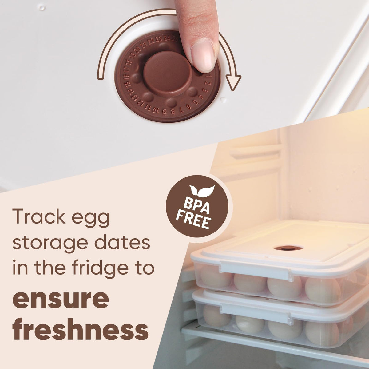 77L deviled egg containers dishwasher safe for easy cleanup