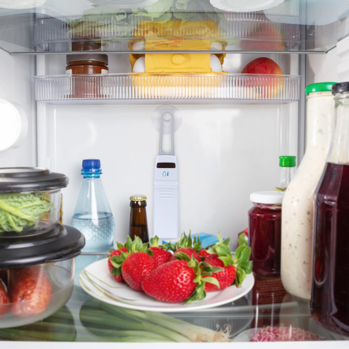 AcuRite freezer sensor provides precise readings for safe storage checks.