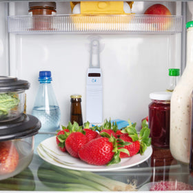 AcuRite wireless freezer sensor with separate high and low data access.