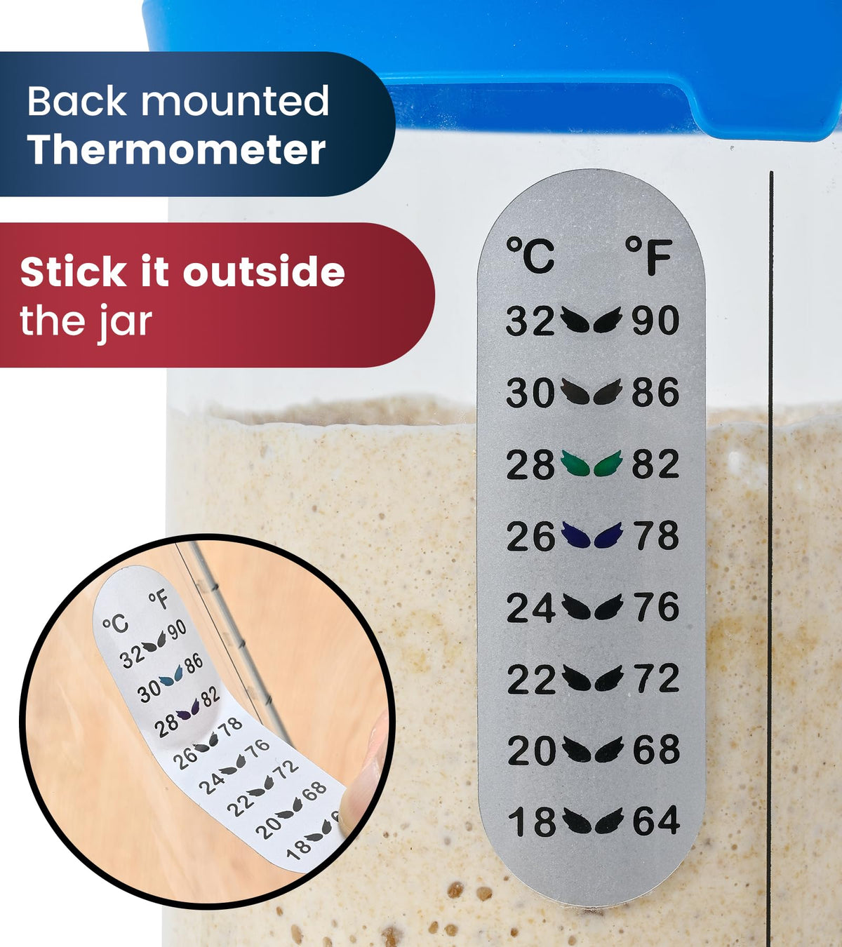 Adodeen wide-mouth jar for easy feeding and cleaning
