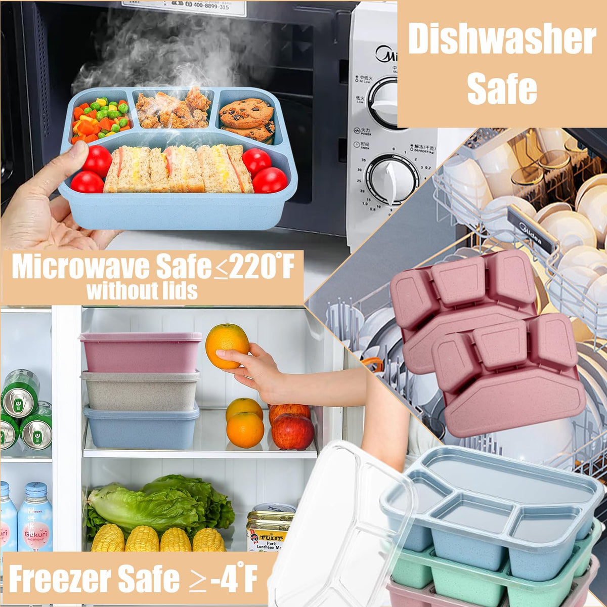 Aellabus bento box showing organized snack compartments