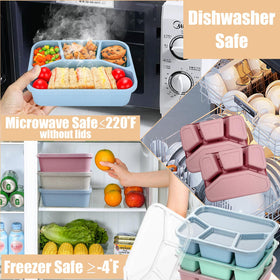 Aellabus bento box showing organized snack compartments