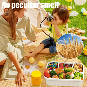 Aellabus portable lunch box for work, school, and travel