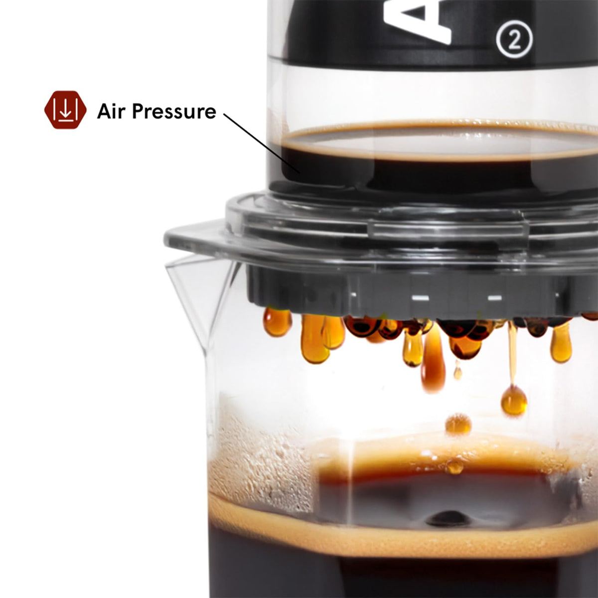 Adjustable grind size and brew time for personalized flavor.