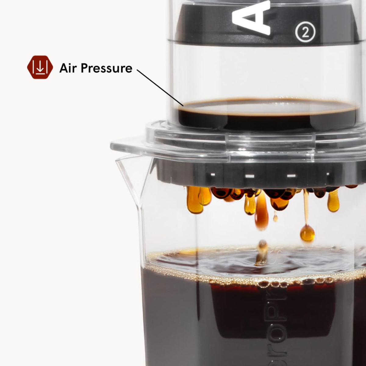 AeroPress XL easy brew visual suggests quick, smooth brewing.