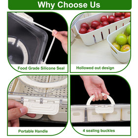 AIERSA Snackle Box four compartments organize fruits and snacks efficiently