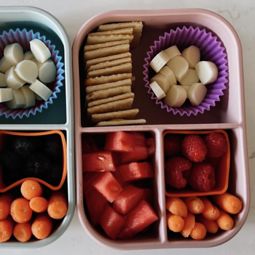 Ali+Oli silicone bento box puppy durable material for everyday use.