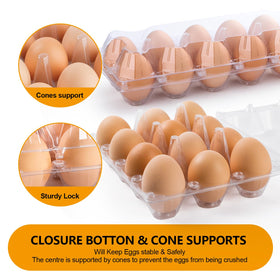 ALISWAT carton allows clear visibility to check egg condition at a glance