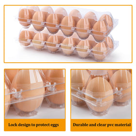 ALISWAT carton made from recycled PET for durable egg storage