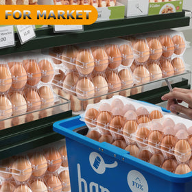 ALISWAT clear egg cartons ideal for market displays and transparent product presentation.