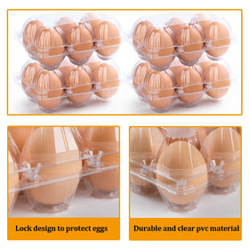ALISWAT reusable 6-count carton with snap closure supports sustainable storage and repeated use.