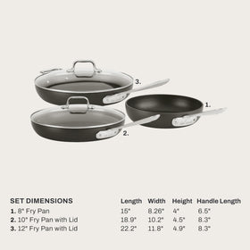 All-Clad HA1 10-inch fry pan with lid ideal for sauces and searing.