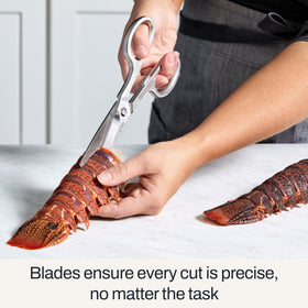 All-Clad shellfish-cutting demonstrating sturdy, reliable snips.