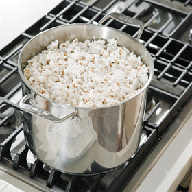 All-Clad stockpot insert with straining holes for easy lifting.
