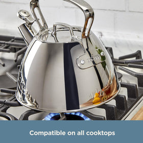 All-Clad induction-compatible tea kettle suitable for all cooktops