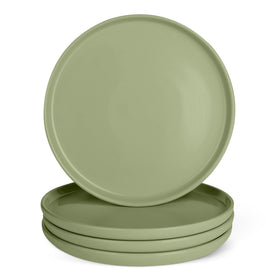 Amazon Basics glazed stoneware dinner plate—4-piece set with stain-resistant finish for daily meals.