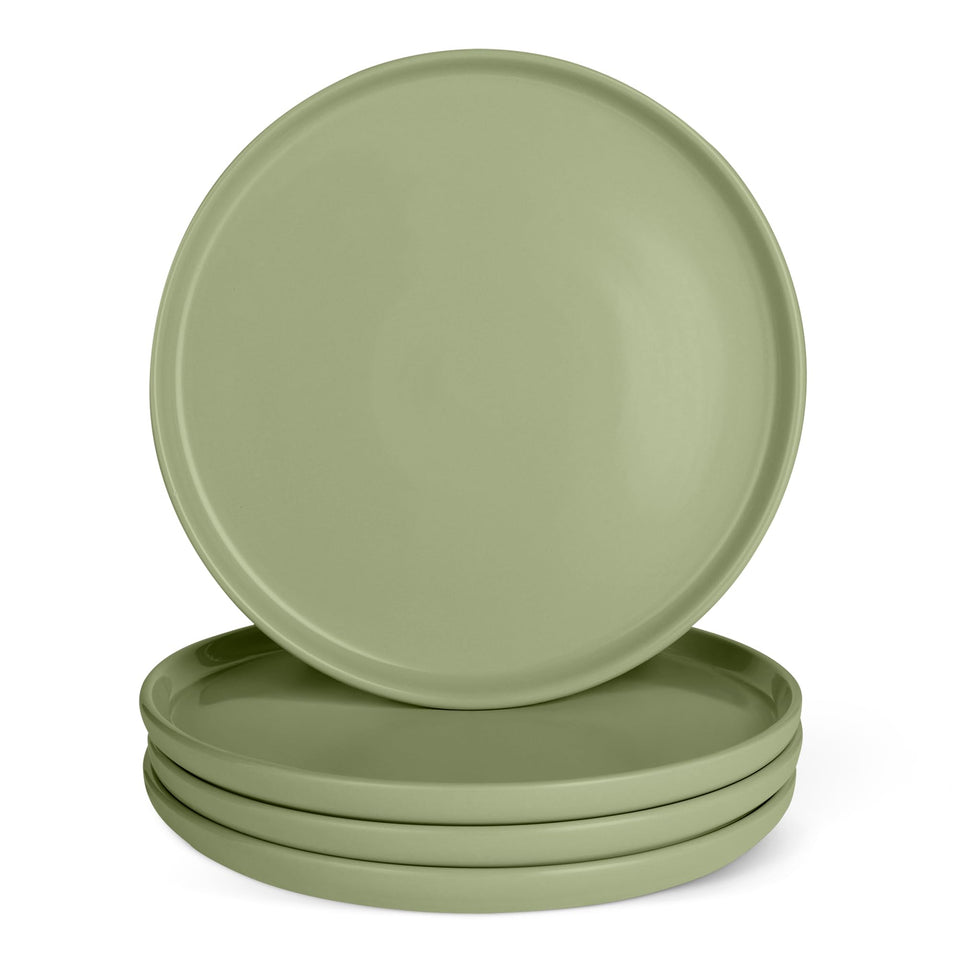 Amazon Basics glazed stoneware dinner plate—4-piece set with stain-resistant finish for daily meals.