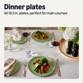 Close-up of gloss glaze on Amazon Basics plate showing durable finish for everyday use.