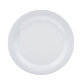 Amazon Basics melamine plate on upper rack demonstrates dishwasher-safe convenience.