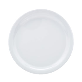 Amazon Basics melamine plate in a dining scene, ideal for casual gatherings.