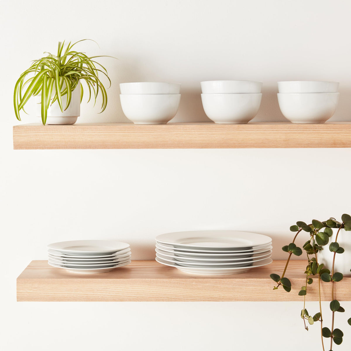 Amazon Basics porcelain salad bowls for soups, salads, and sides