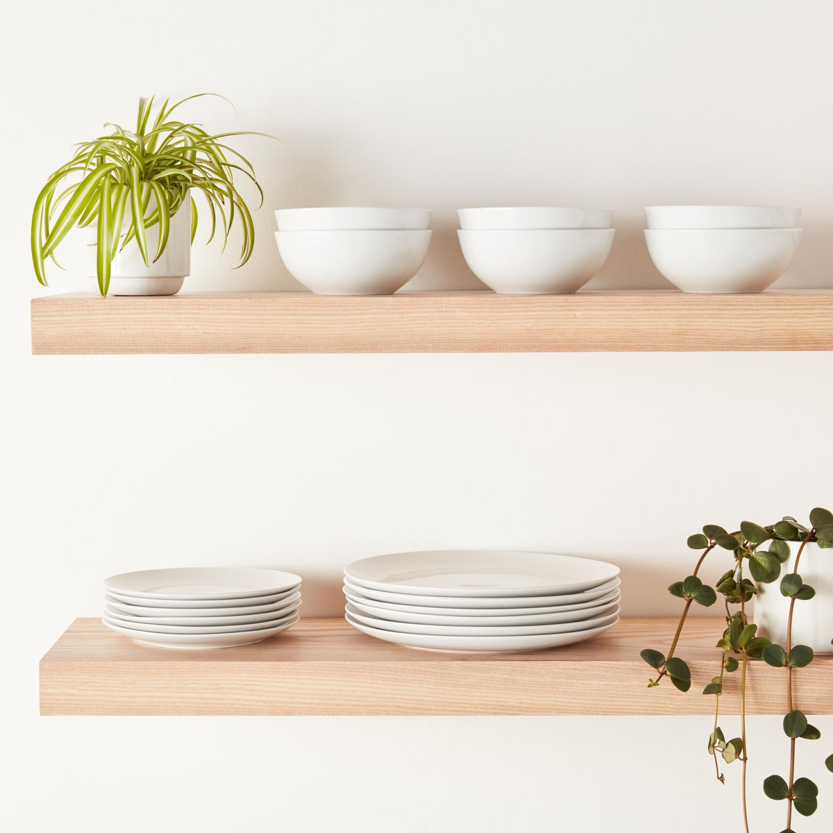 Amazon Basics 7.5-inch salad plates: lightweight yet sturdy.