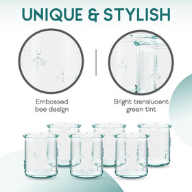 Amici Home Regina DOF glass 12 oz capacity for everyday beverages.