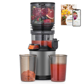 AMZCHEF cold press juicer with wide chute for whole fruits and prep speed