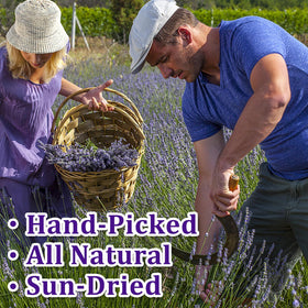 Andekas lavender sprigs for DIY gifts and craft projects with fragrance