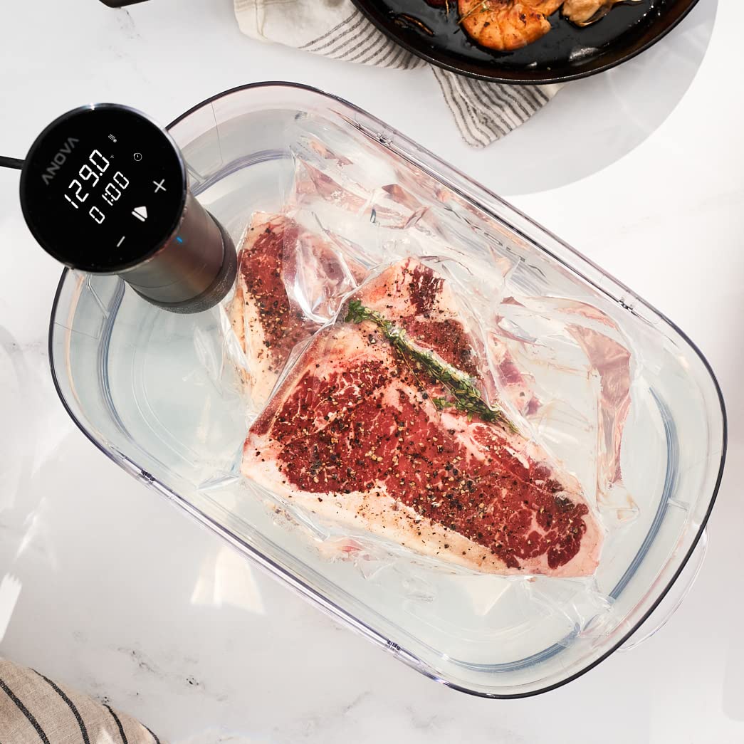 Anova Culinary Nano 3.0 two-line display for quick time and temperature checks