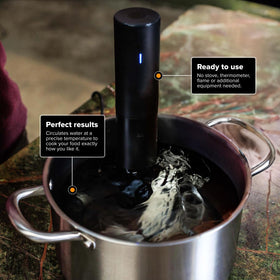 Compact, affordable cooker shows a steakhouse-quality method at home.