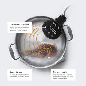 Anova Culinary Sous Vide 2.0 app control interface for remote cooking