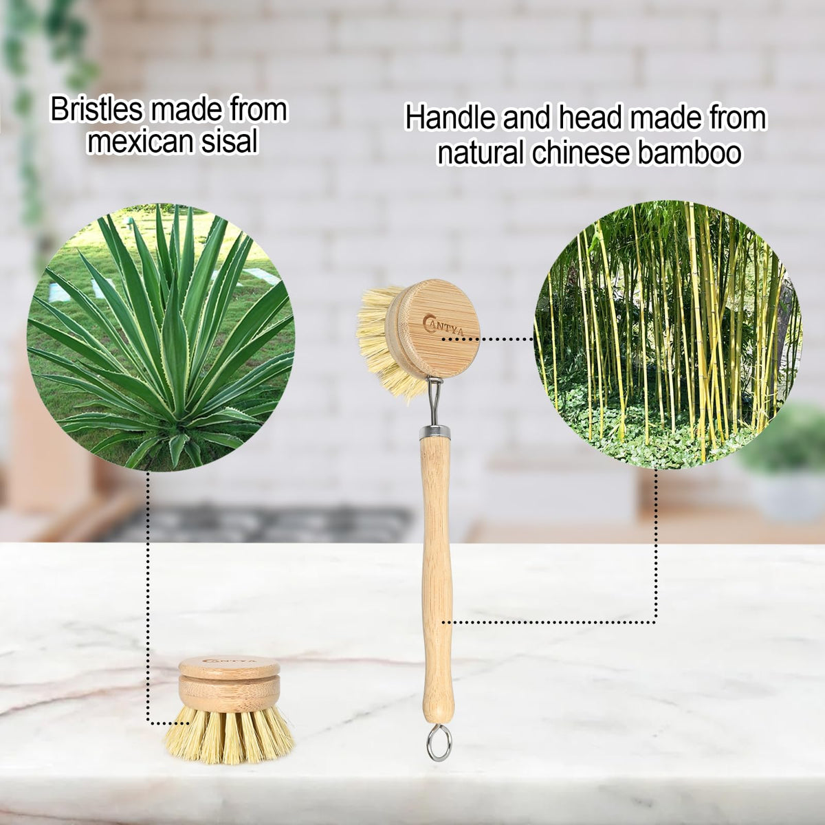 ANTYA bamboo dish brush used for pot and pan cleaning without scratching cookware