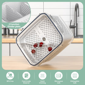 Anysig fridge container with divider plates for organized fruit sections