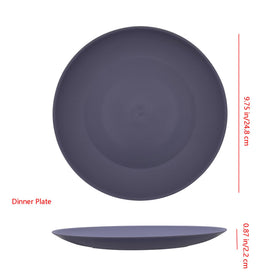 AOYITE BPA-free plastic dinner plates for safe reuse