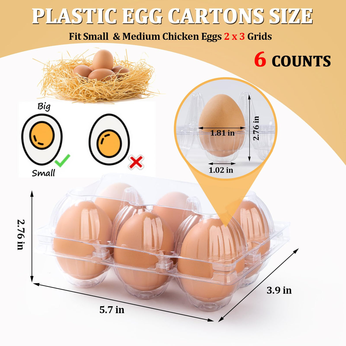 APOCHON clear carton inside view showing secure egg separation