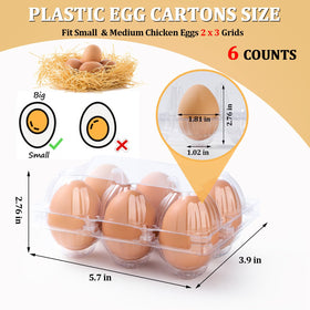 APOCHON clear carton inside view showing secure egg separation