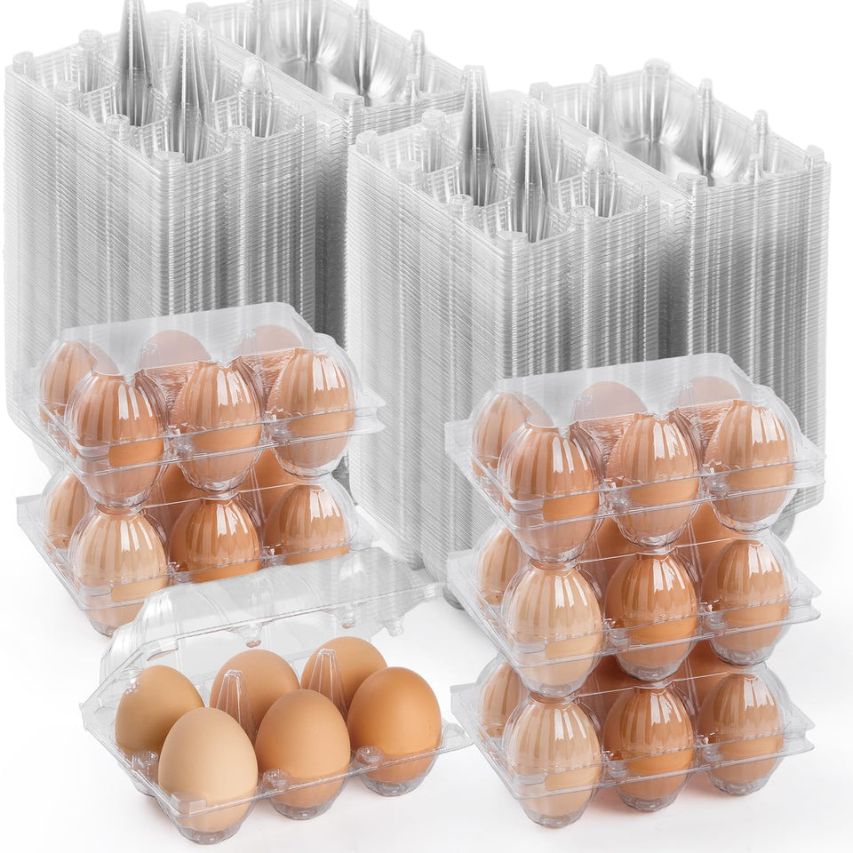 APOCHON clear egg carton top view for six eggs, ideal for safe transport