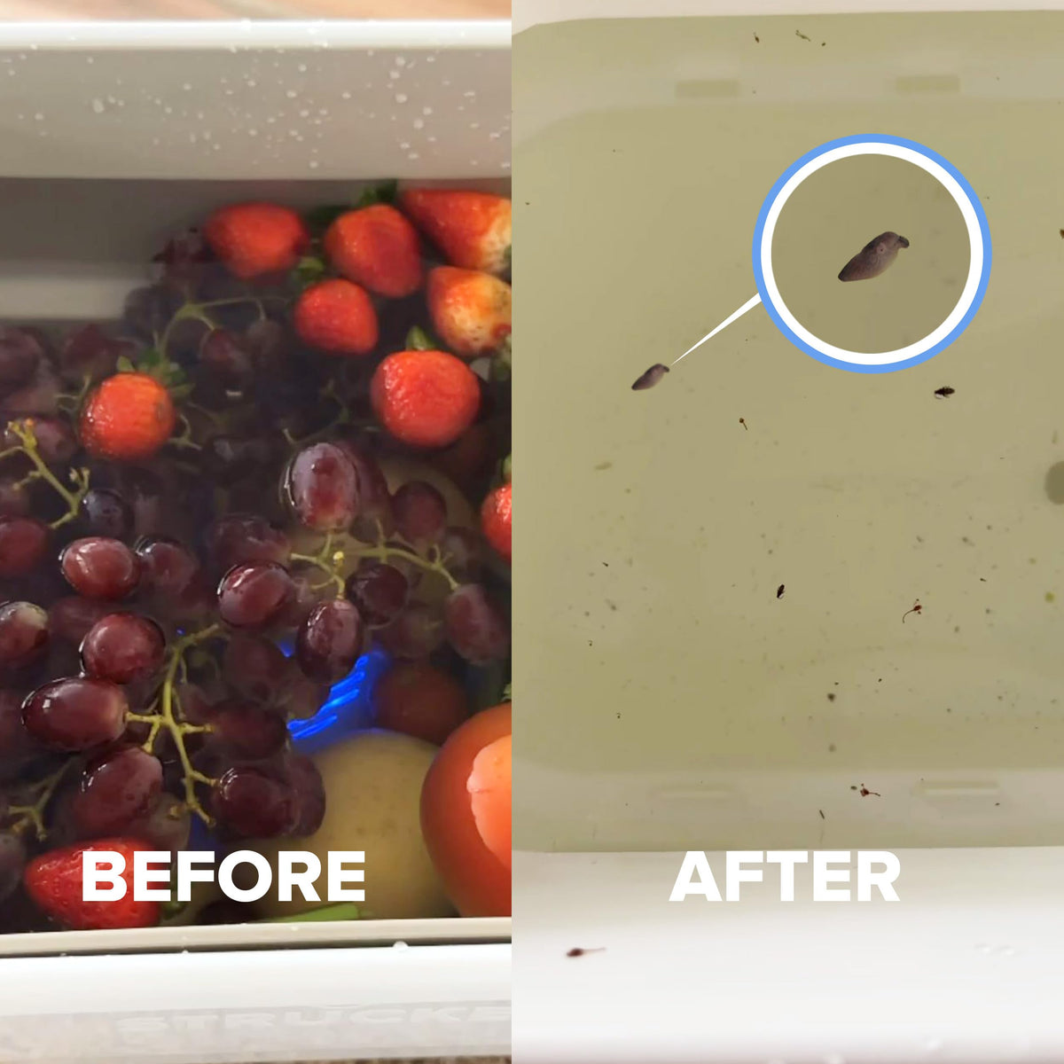 One-year AquaPure warranty icon highlights trusted support.