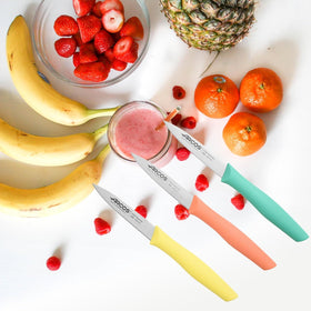 Arcos Nova paring knife with dishwasher-safe orange handle for easy cleanup.