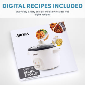 AROMA ARC-302NGBL blue plated dish ready to serve.