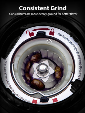 Aromaster large-capacity chamber image for family use