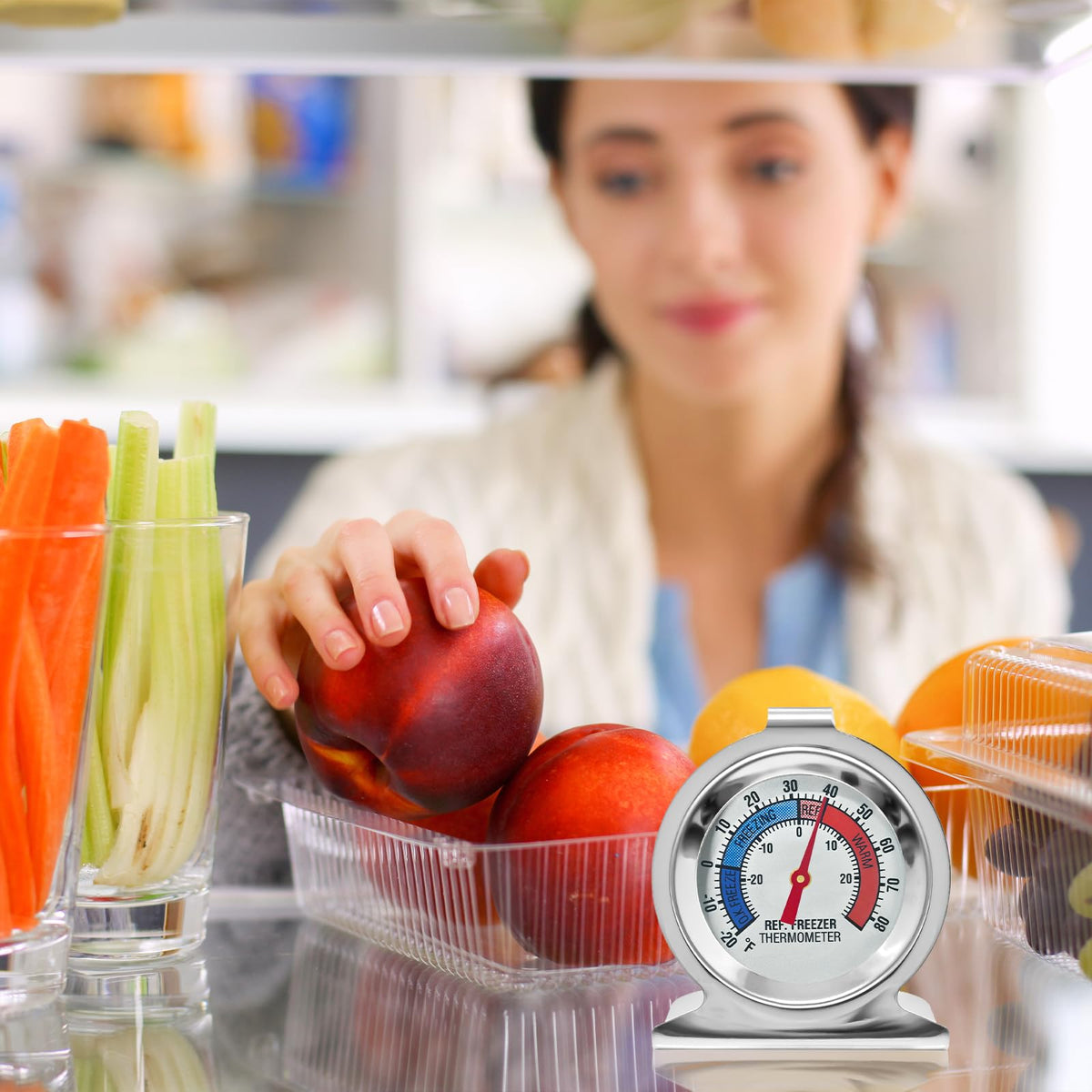 ATZNZIK 2-inch dial provides clear readings for dairy and meat storage.