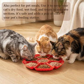 AVLA green tray easy to clean, reusable for daily snacks or events.