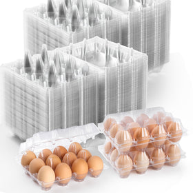 AYAYGD 100-pack egg cartons with crystal clarity for in-store displays.