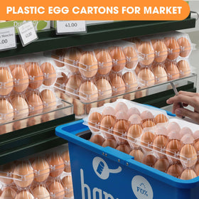 AYAYGD transparent design simplifies egg counting and display.