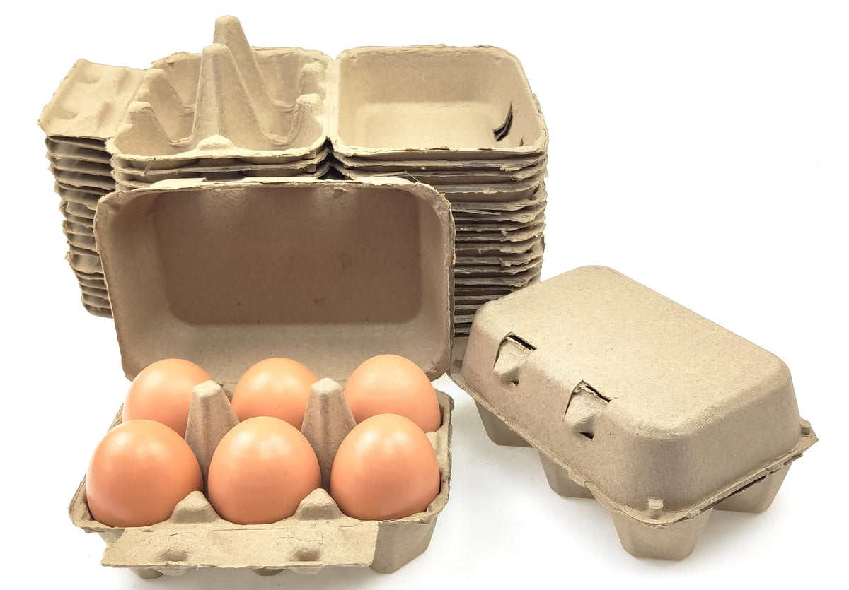 Azatemgo pulp fiber egg carton with lid closed, protects eggs during transport