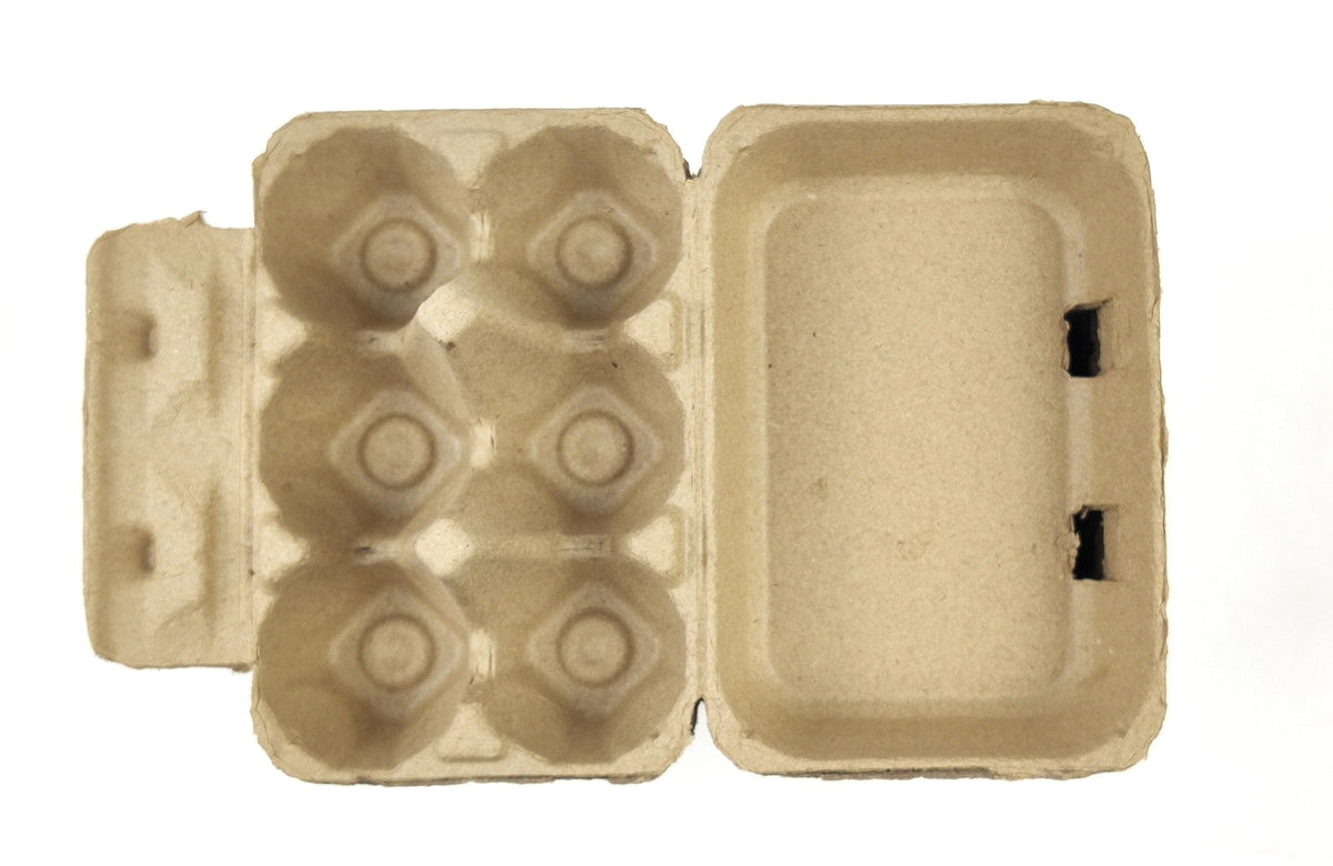 Azatemgo 40-pack set of pulp fiber egg cartons for bulk storage