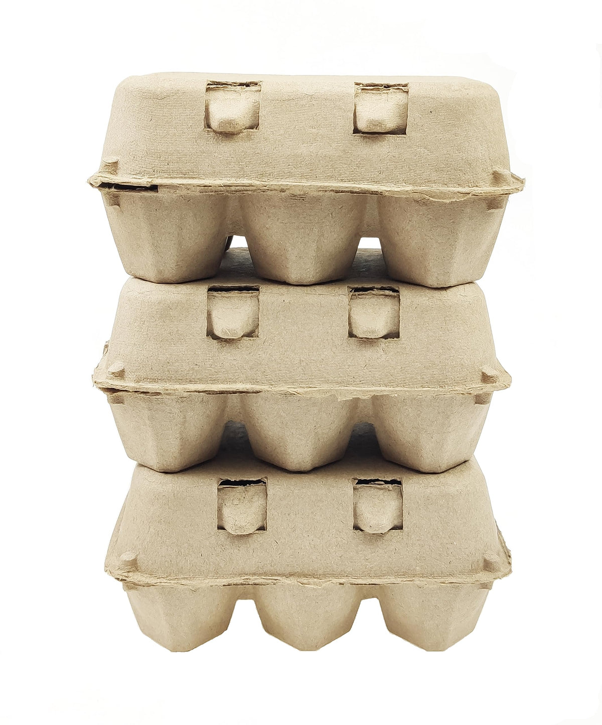 Double buckle closure keeps egg carton lid secure