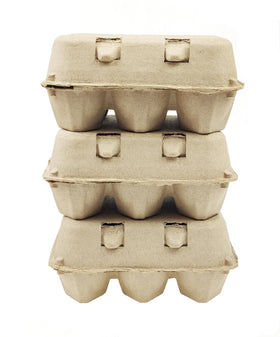 Double buckle closure keeps egg carton lid secure